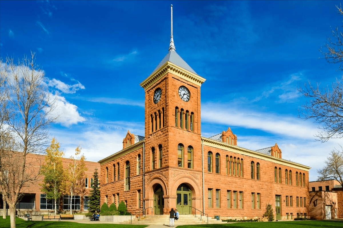 纽约州立大学石溪分校